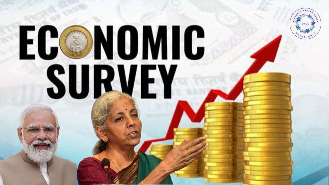 economics survey